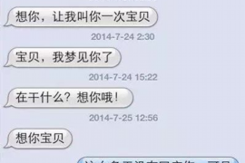 丰宁为什么选择专业追讨公司来处理您的债务纠纷？